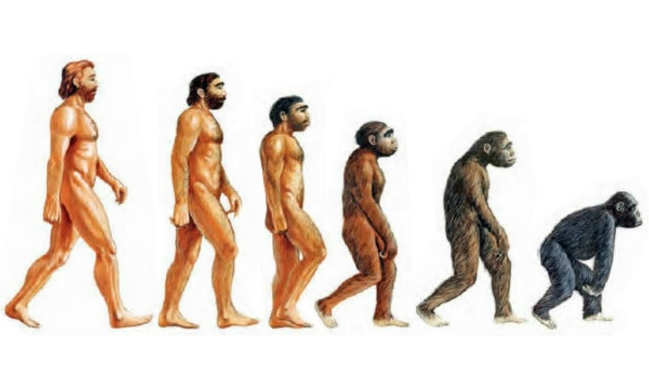 Теория эволюции - мировоззренческая угроза